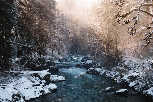 shayd-johnson-_zK-j4cMgu4-unsplash